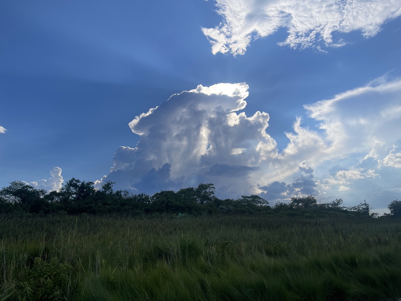 Clouds forming in the open sky